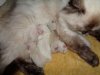 DSC00318.JPG
