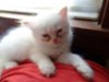 DSC00056.JPG