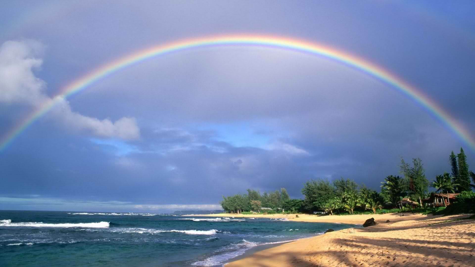 wallpaper-1442468.jpg