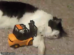 9mx7nZv.gif
