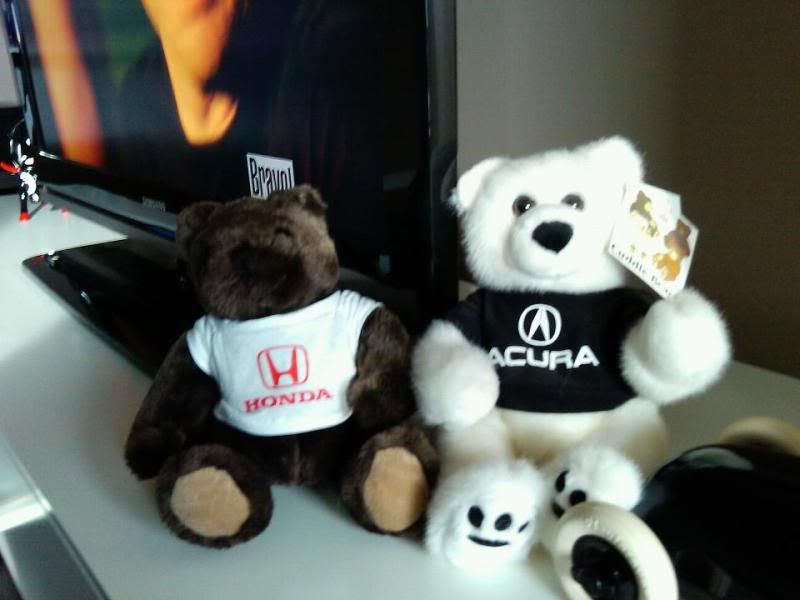 hondaacurabear.jpg