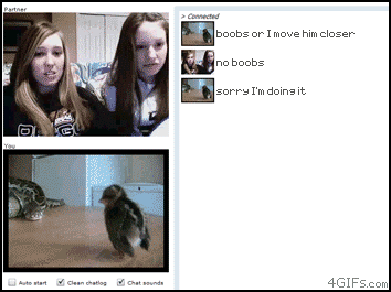 jQElC.gif