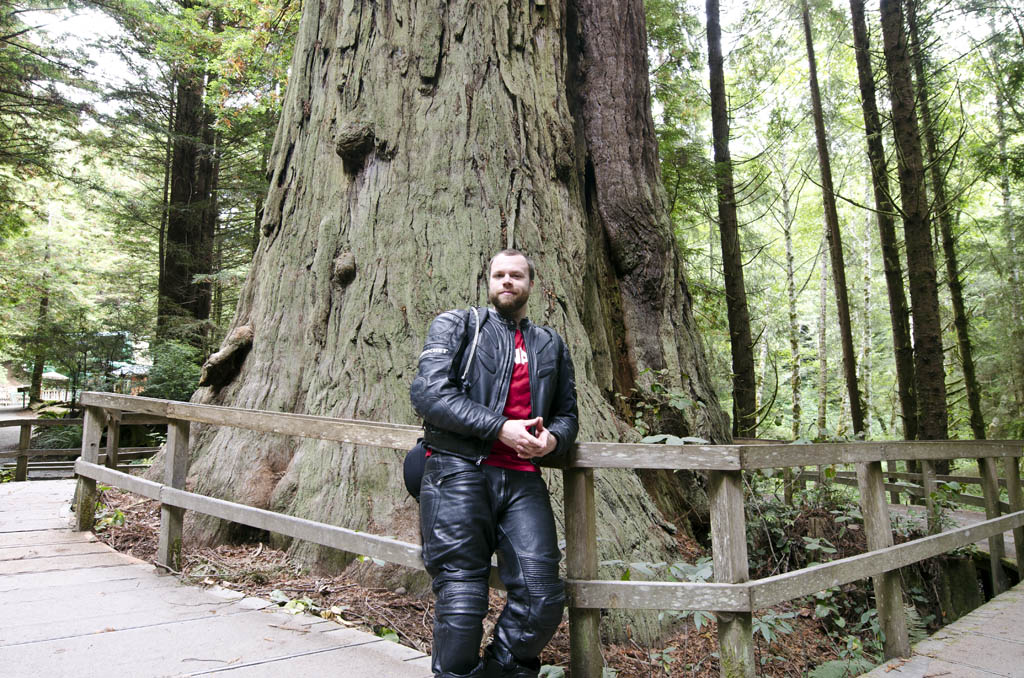 mikebrotherhoodtree.jpg
