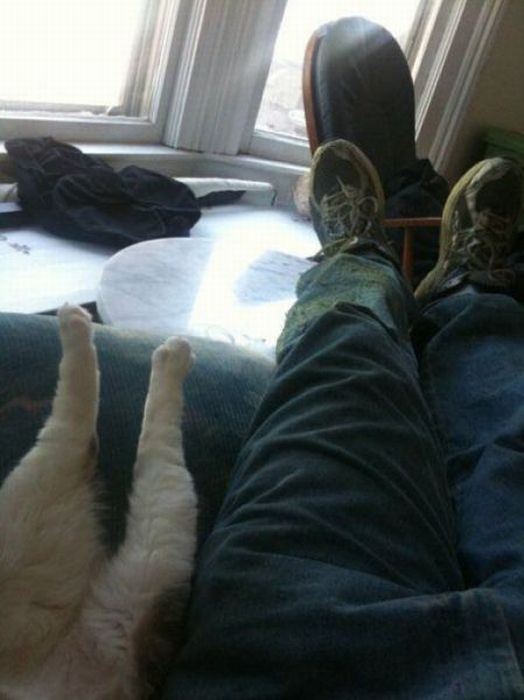 relaxing with kitty.jpg