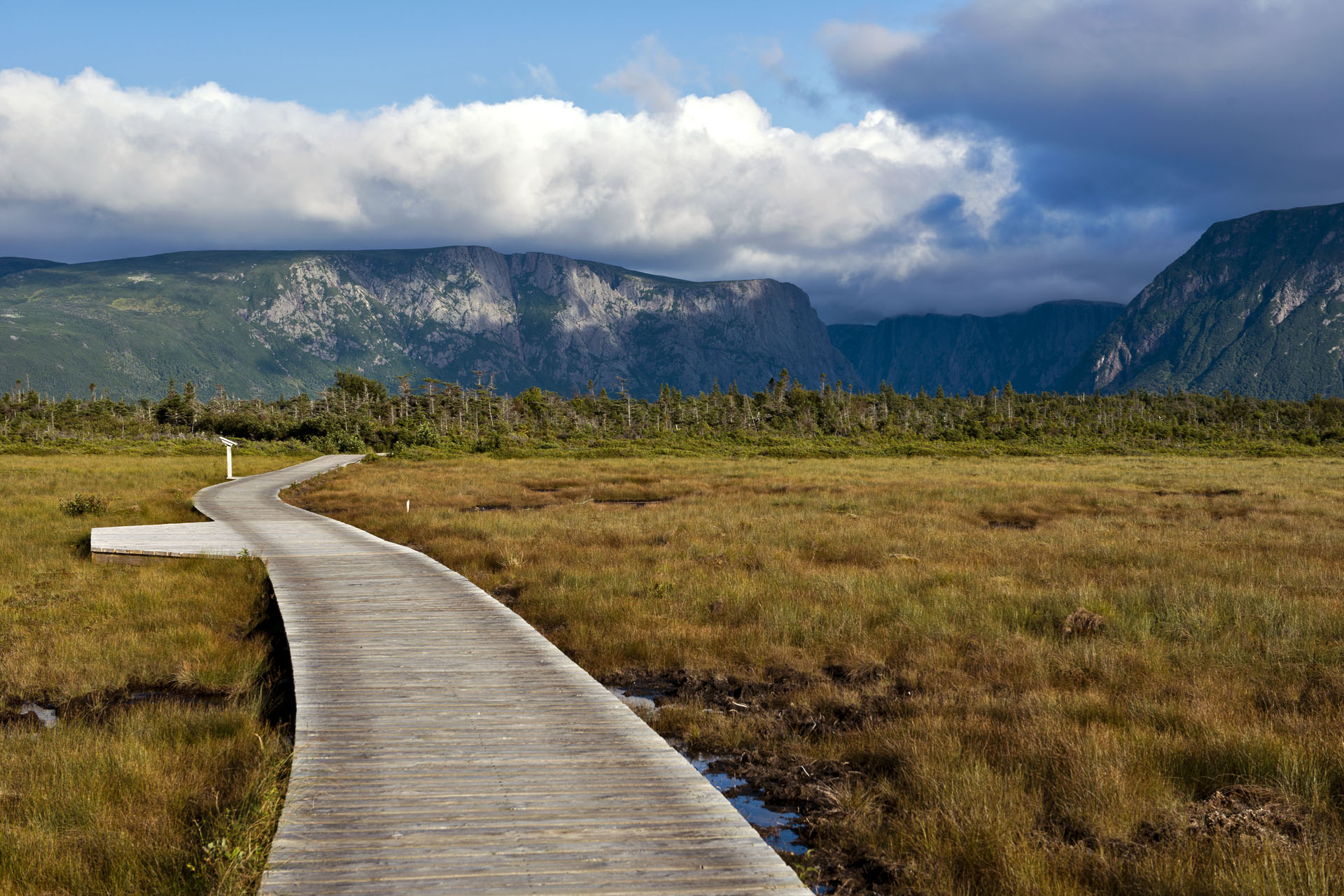 westernbrookpondtrail.jpg