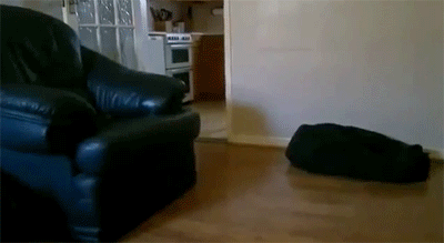 cU621lP.gif