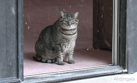 tumblr_luy6omzt381qaf67i.gif