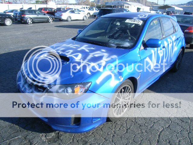 11436132_2X.jpg