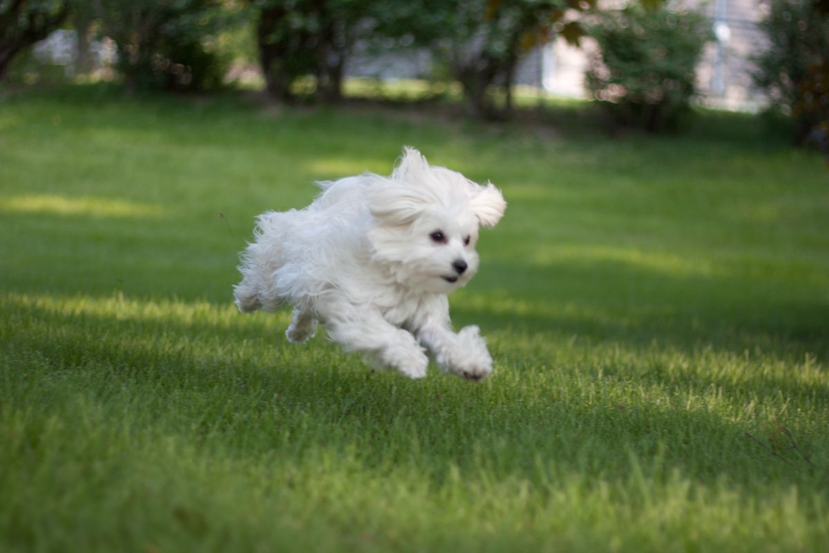 20120513-_MG_7158.jpg