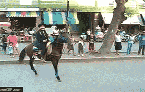 daily_gifdump_118_04.gif