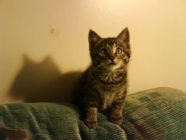 Picture002-1.jpg