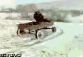 0pU8ERT.gif