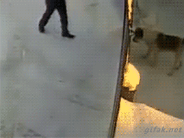 tumblr_njalmnGa751s2yegdo1_400.gif