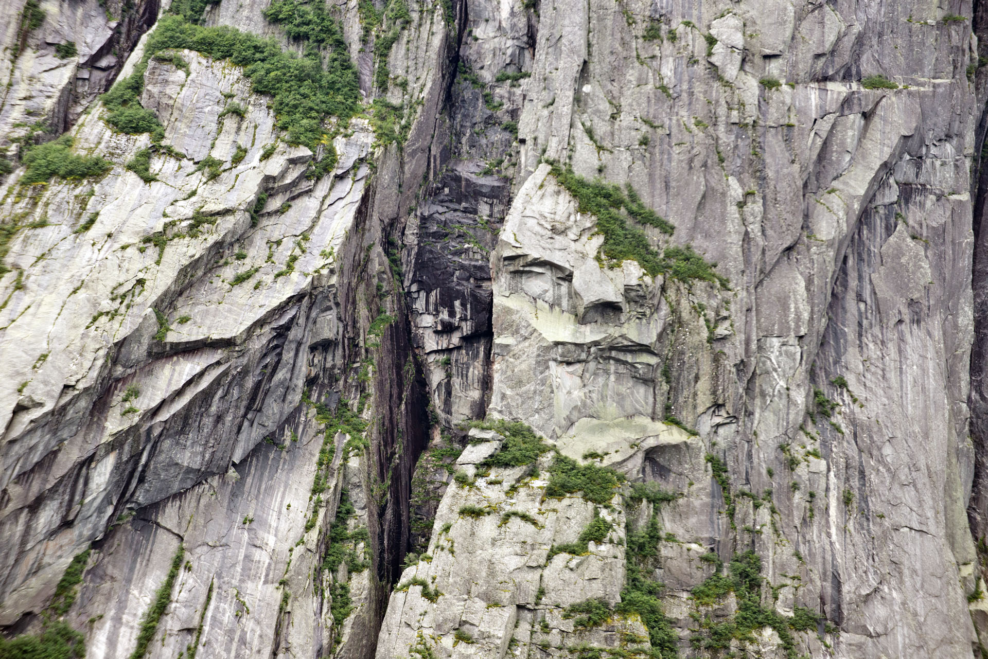 westernbrookpondface.jpg