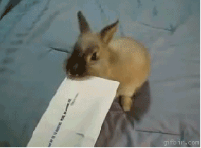 NKQpD.gif