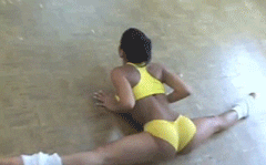 giphy.gif