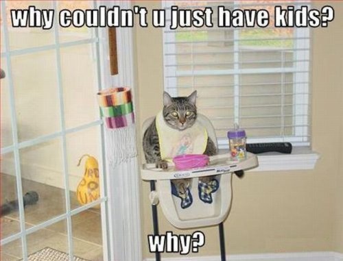 funny_caption_13.jpg