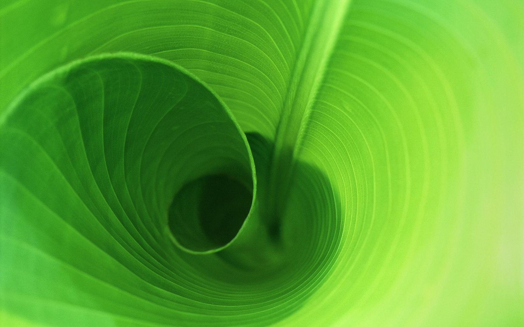 1304857801509.jpg
