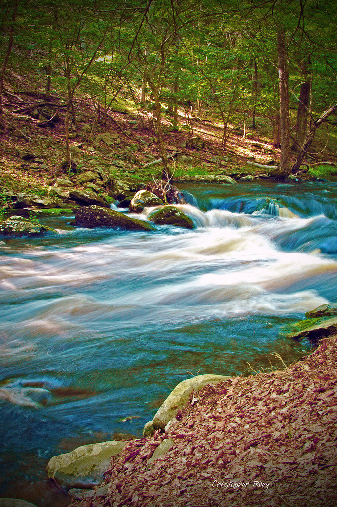9040112819_d87d6b13bc_b.jpg