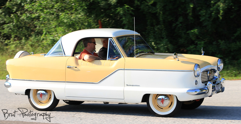 483-XL.jpg