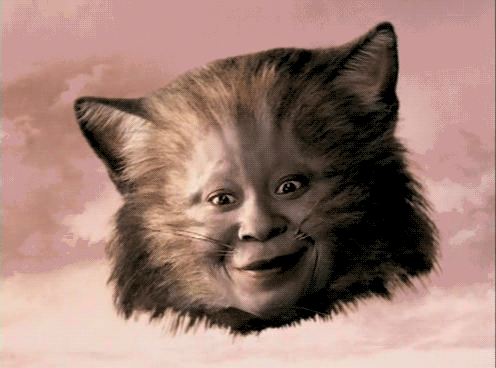 tumblr_ltllxhpGtF1qbhzj0o1_500.gif