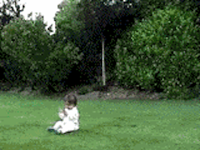 2lwnL.gif