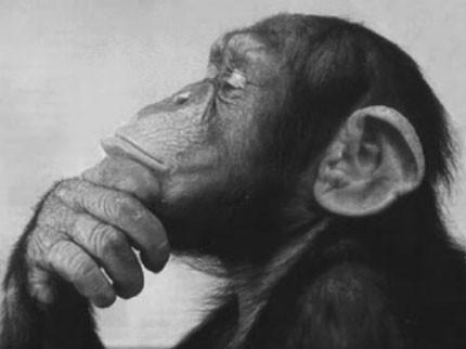 money_thinker.jpg