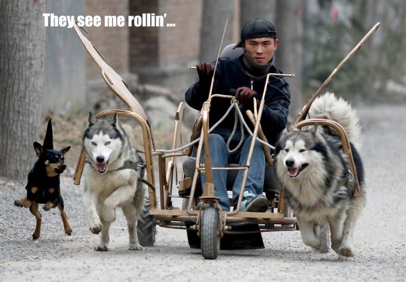 random_res_friday_8.sized.jpg