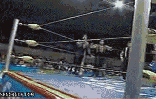greatcatchp1.gif