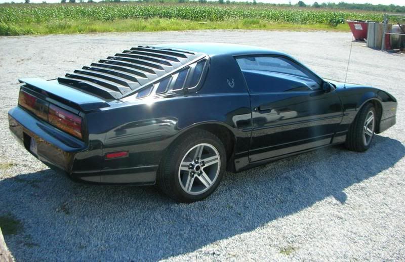 Carwithlouvers.jpg