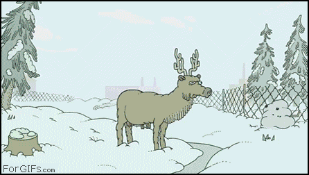7PjwO.gif