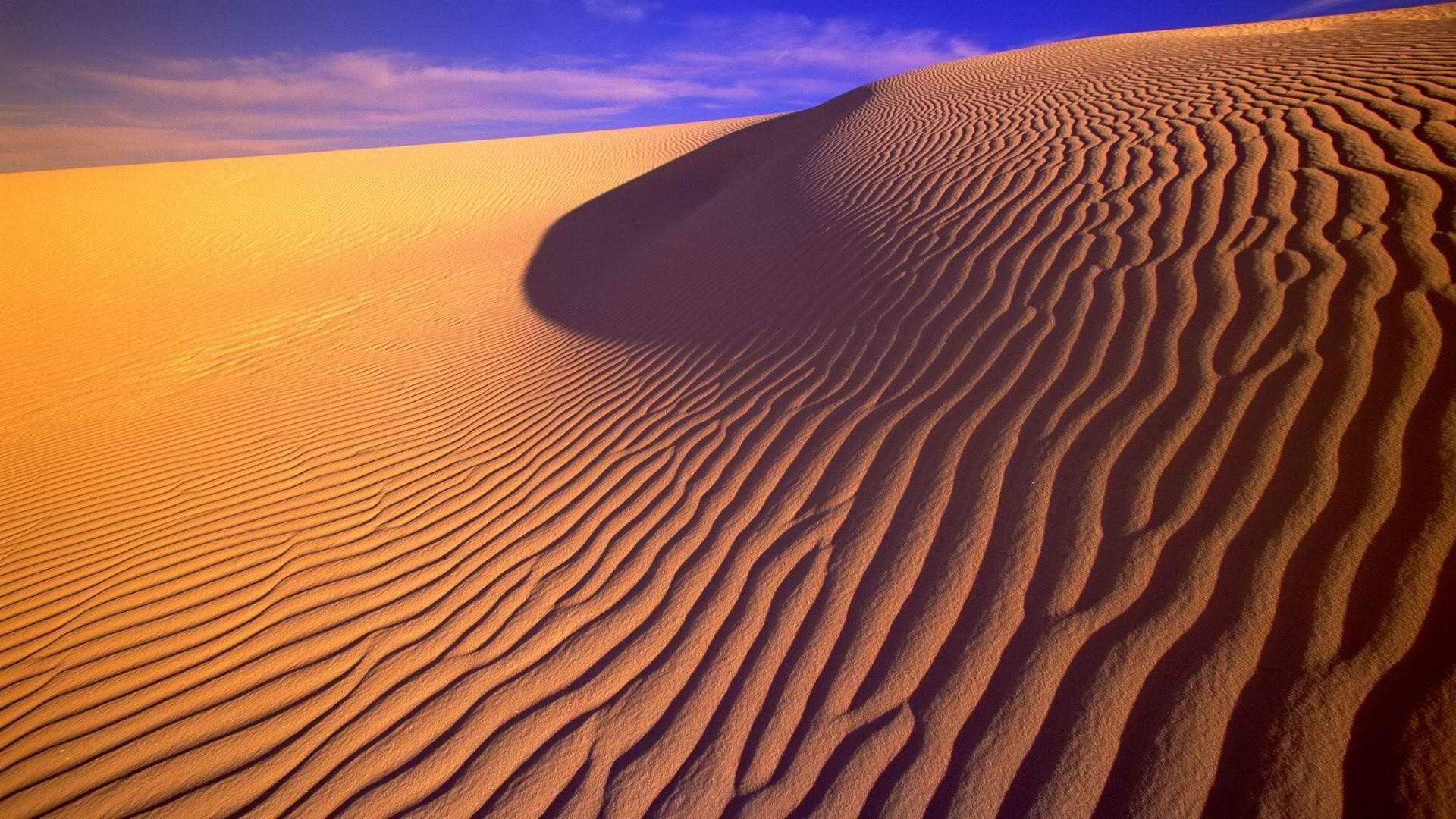 wallpaper-1442360.jpg