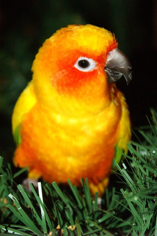PICT0430.jpg