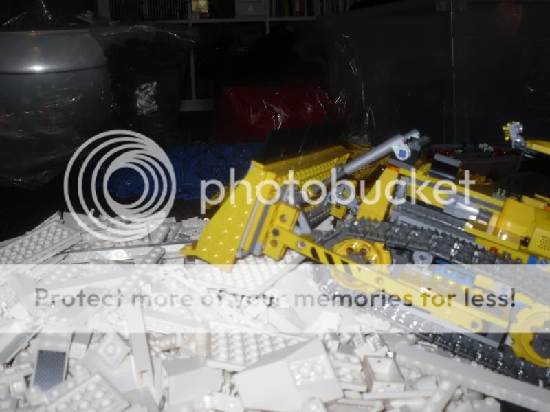 SDC11439.jpg