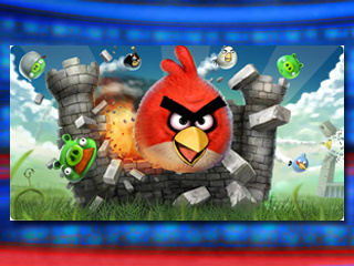 angry_bird_20100928111058_320_240.jpg