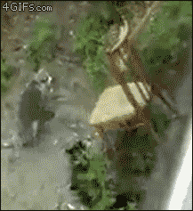 FIbPY.gif