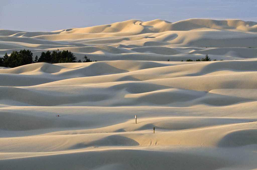 oregondunes.jpg