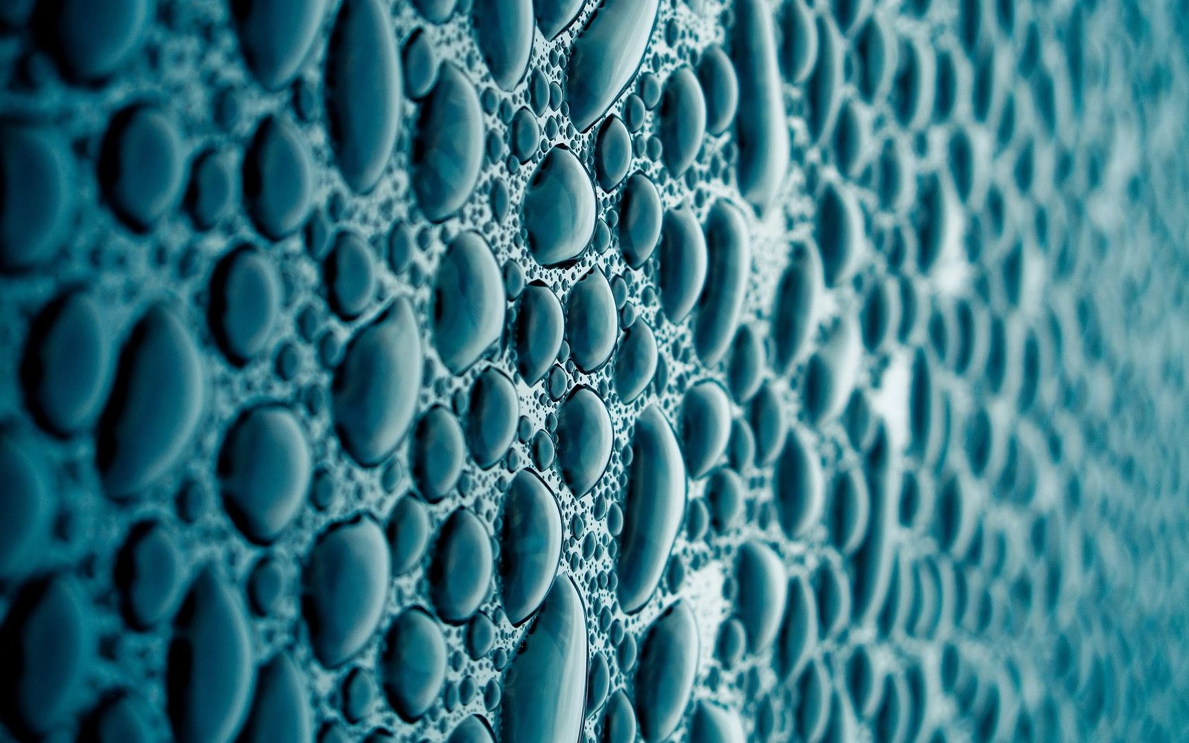 wallpaper-1350567.jpg