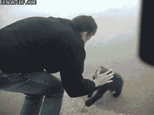 MolMk.gif