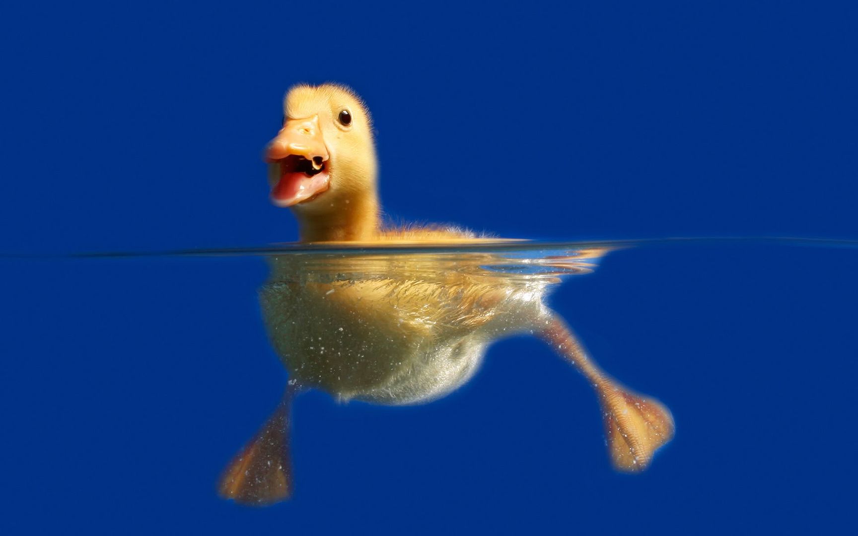 1309620095256.jpg
