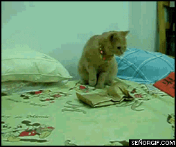 animated_gif_selection_6mmpc_21.gif