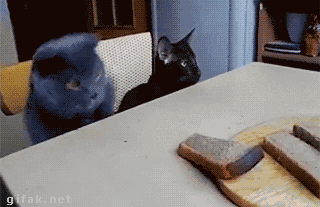 q7BbfHt.gif