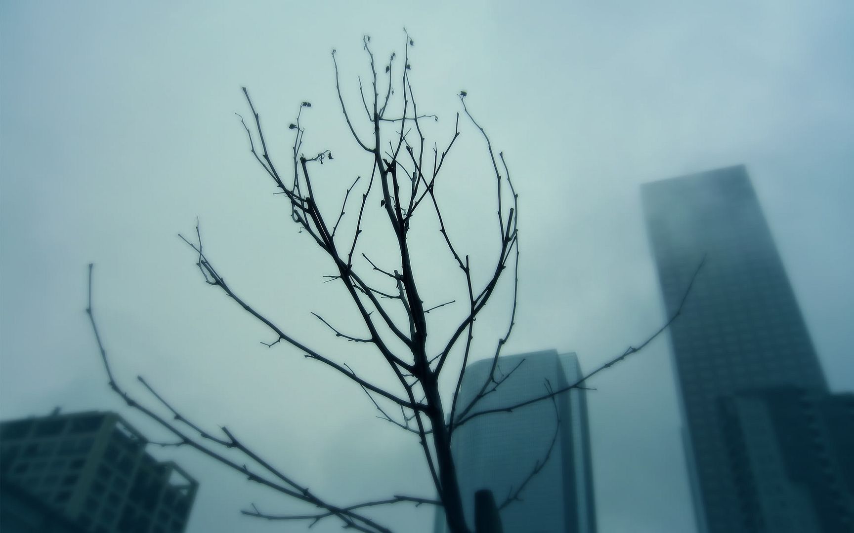 1304929062604.jpg