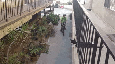 tumblr_njfiddhYbD1tjfrxvo1_400.gif