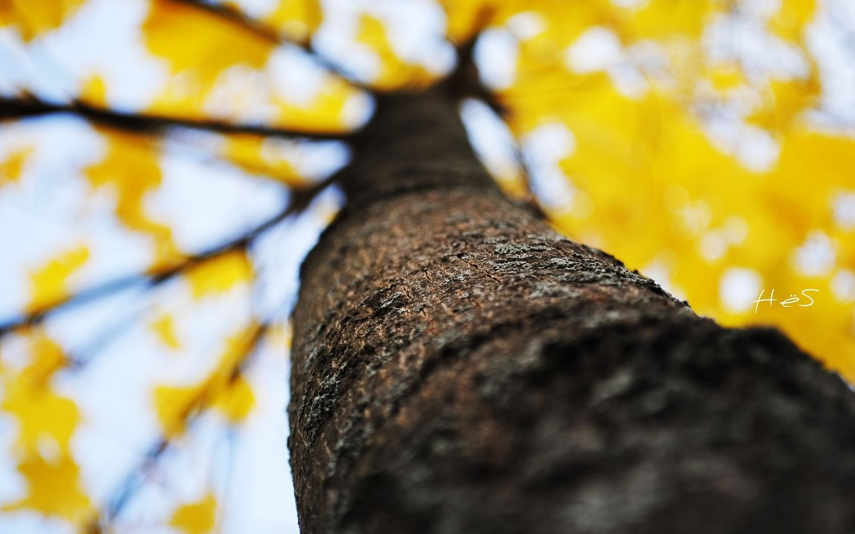 wallpaper-2118397.jpg