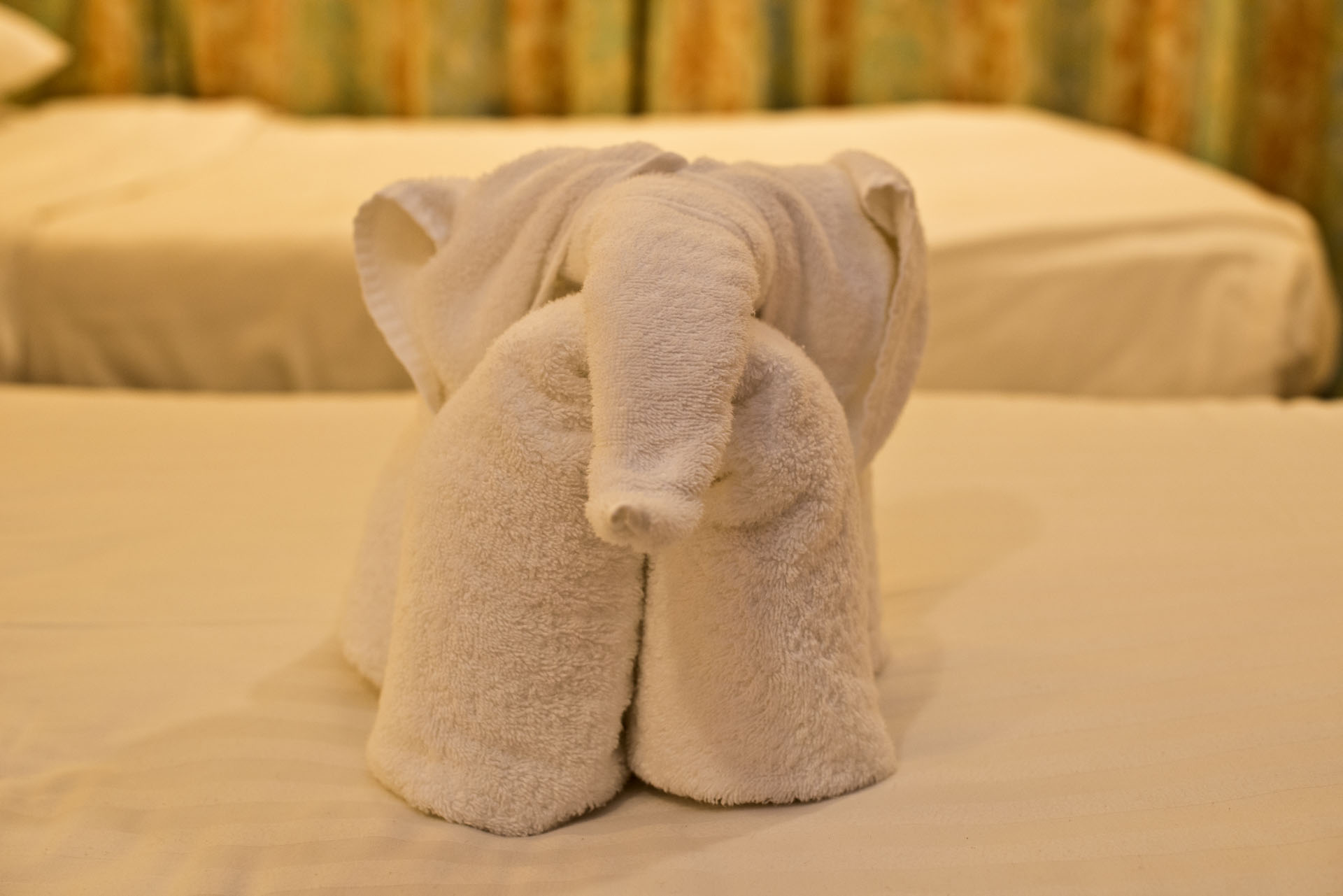 towelelephant.jpg