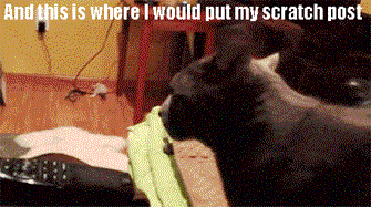 tumblr_mohjmzLwKu1sq38yao1_400.gif