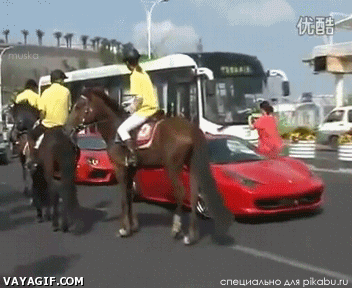 f5bc6bf7eaf716780ce3ad1b239a95fb.gif