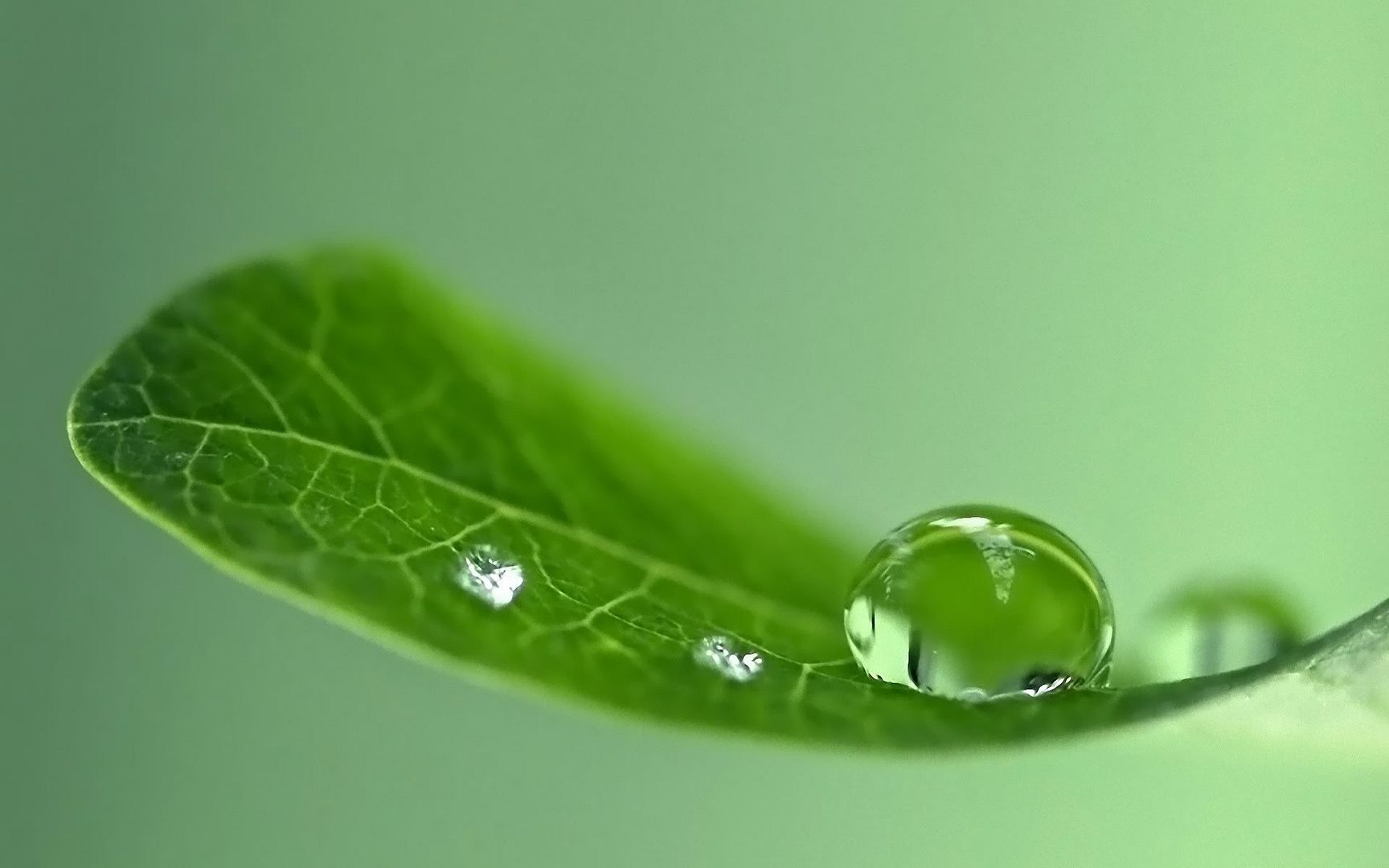 wallpaper-1621544.jpg