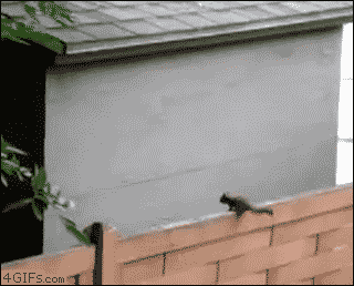 b6NsQ.gif